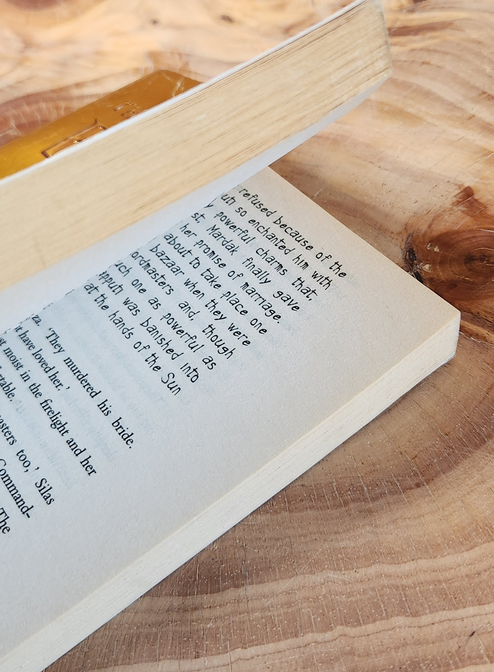 The Alchemists of Barbal - David Clement-Davies