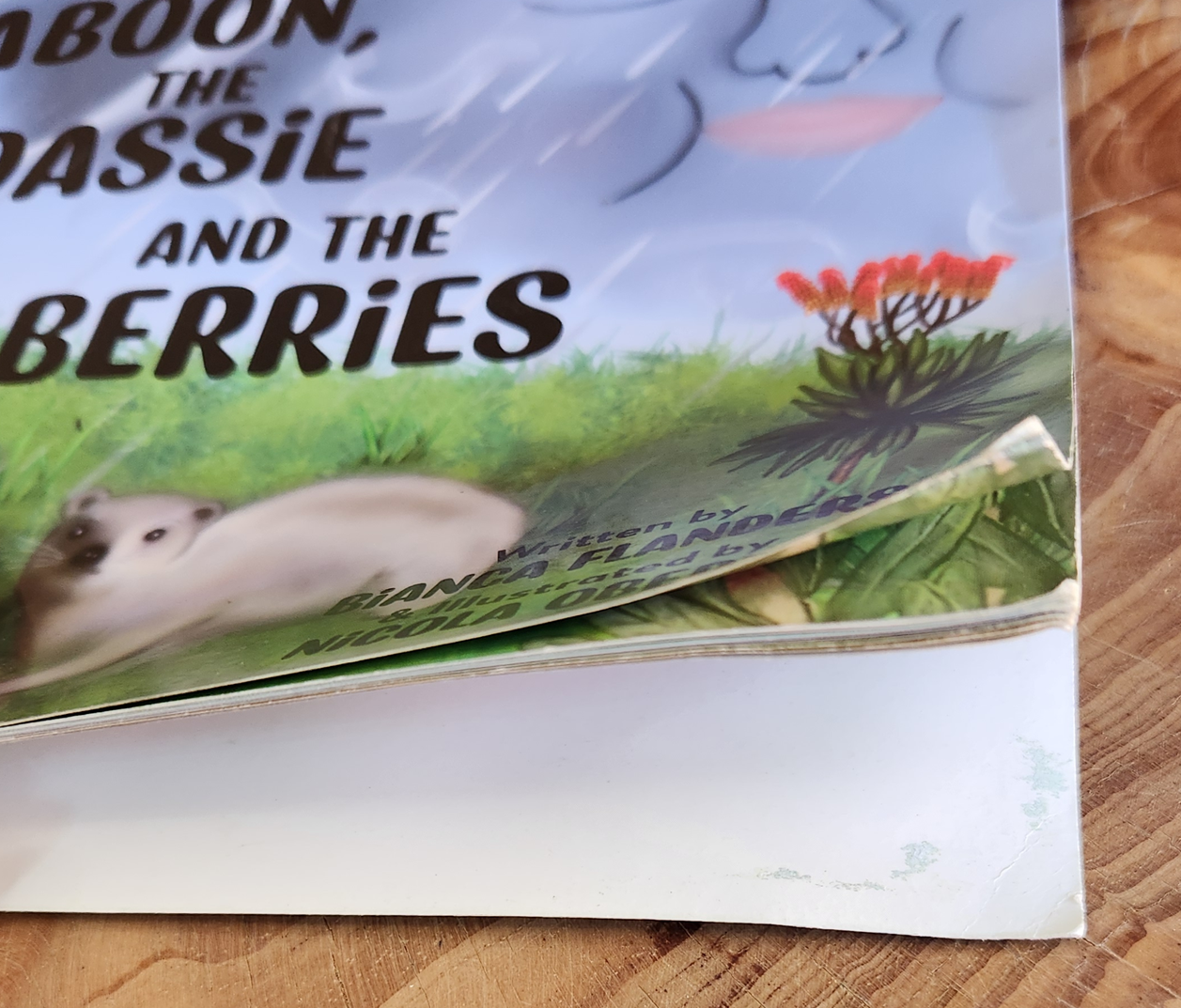 The Baboon, the Dassie and the Berries - Bianca Flanders