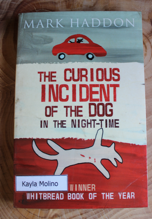 The Curious Incident of the Dog in the Night-Time - Mark Hudson