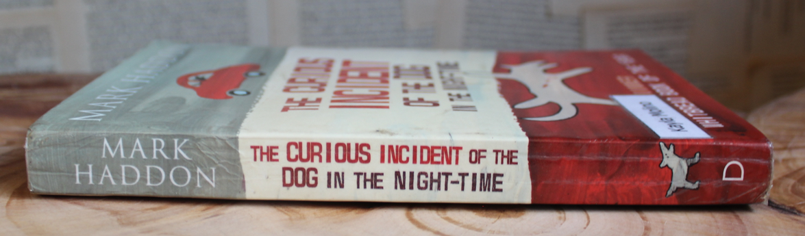 The Curious Incident of the Dog in the Night-Time - Mark Hudson