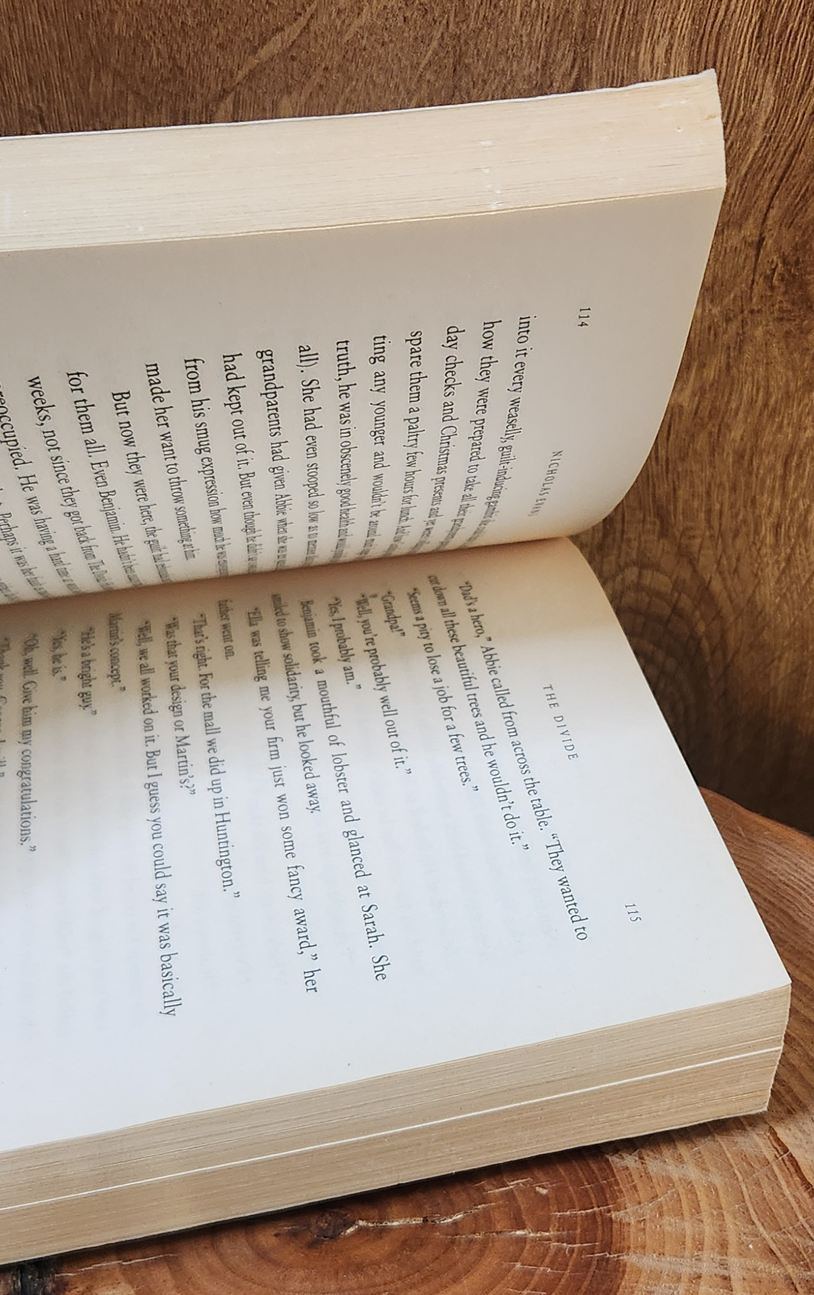 The Divide - Nicholas Evans