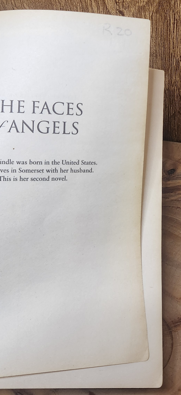 The Faces of Angels - Lucretia Grindle