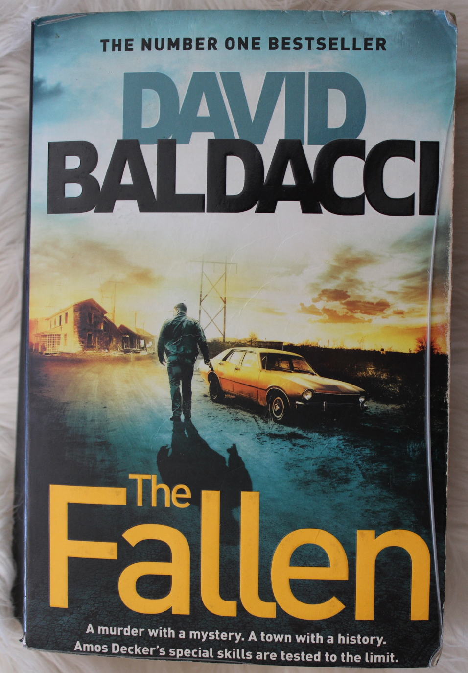 The Fallen - David Baldacci