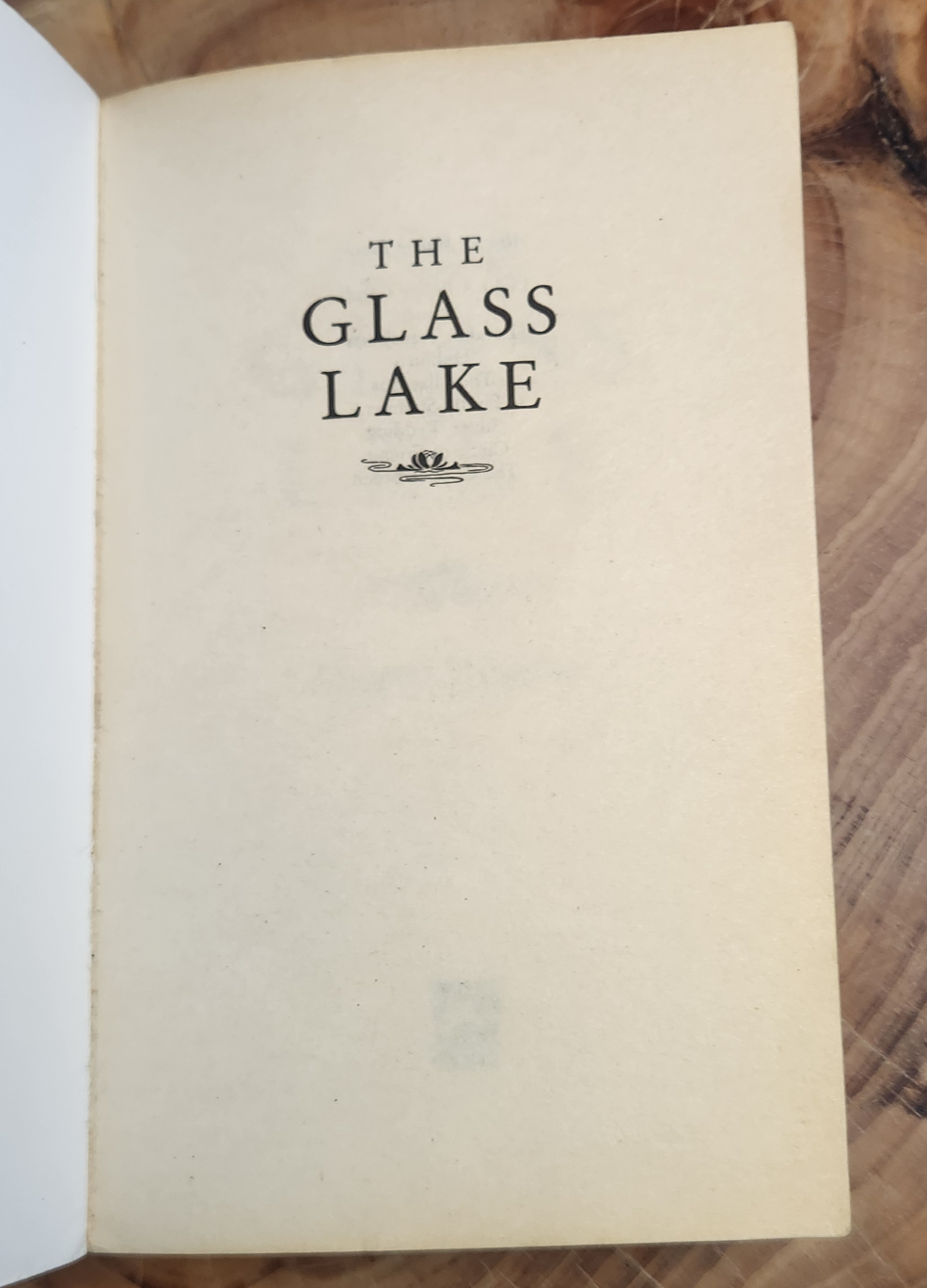 The Glass Lake - Maeve Binchy