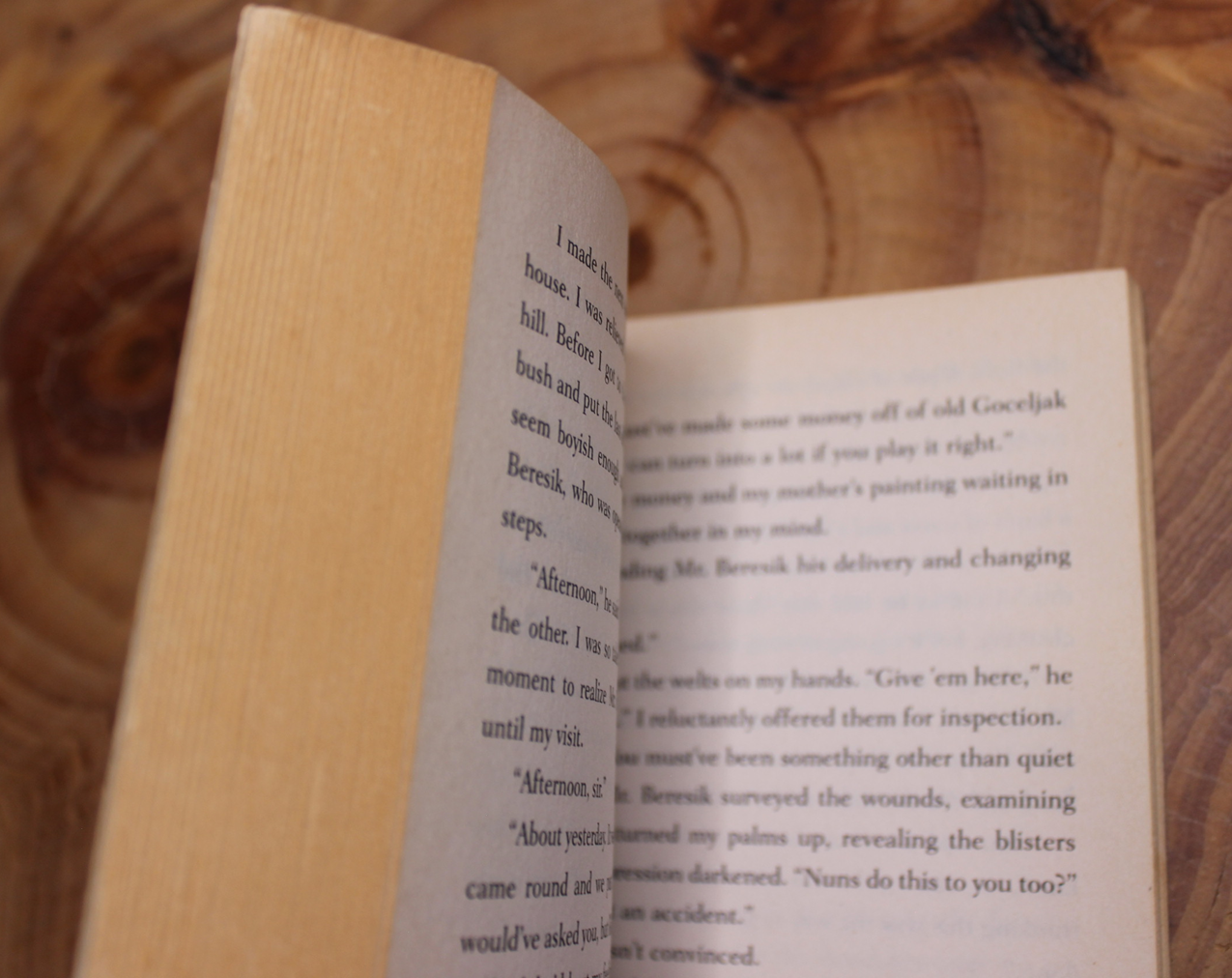 The Grave of God's Daughter - Brett Ellen Block