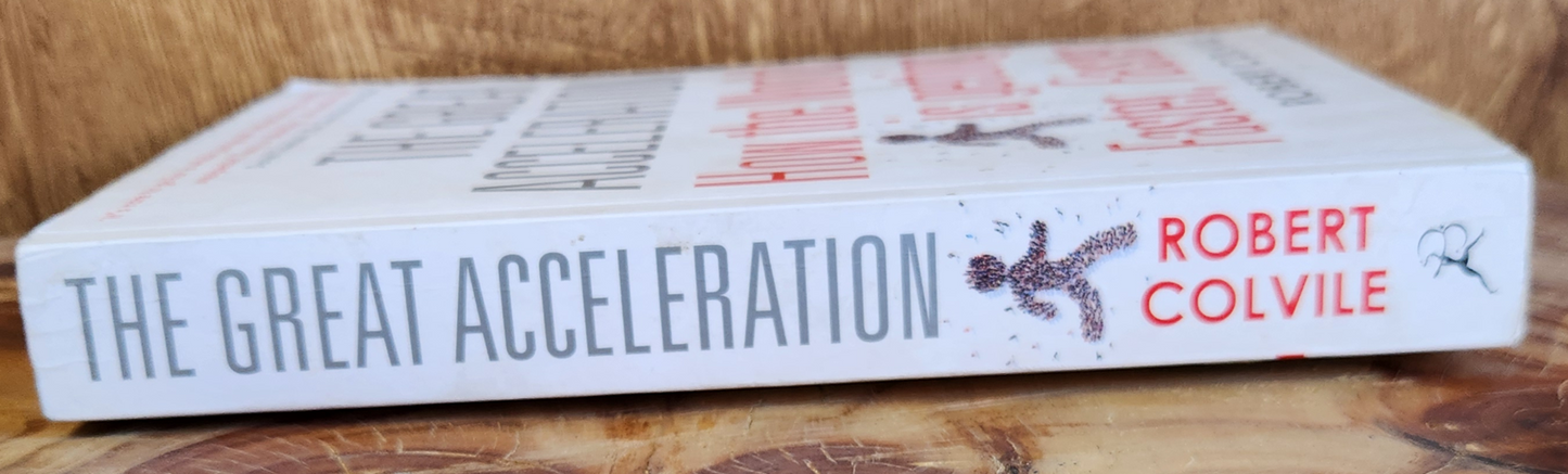 The Great Acceleration - Robert Colvile
