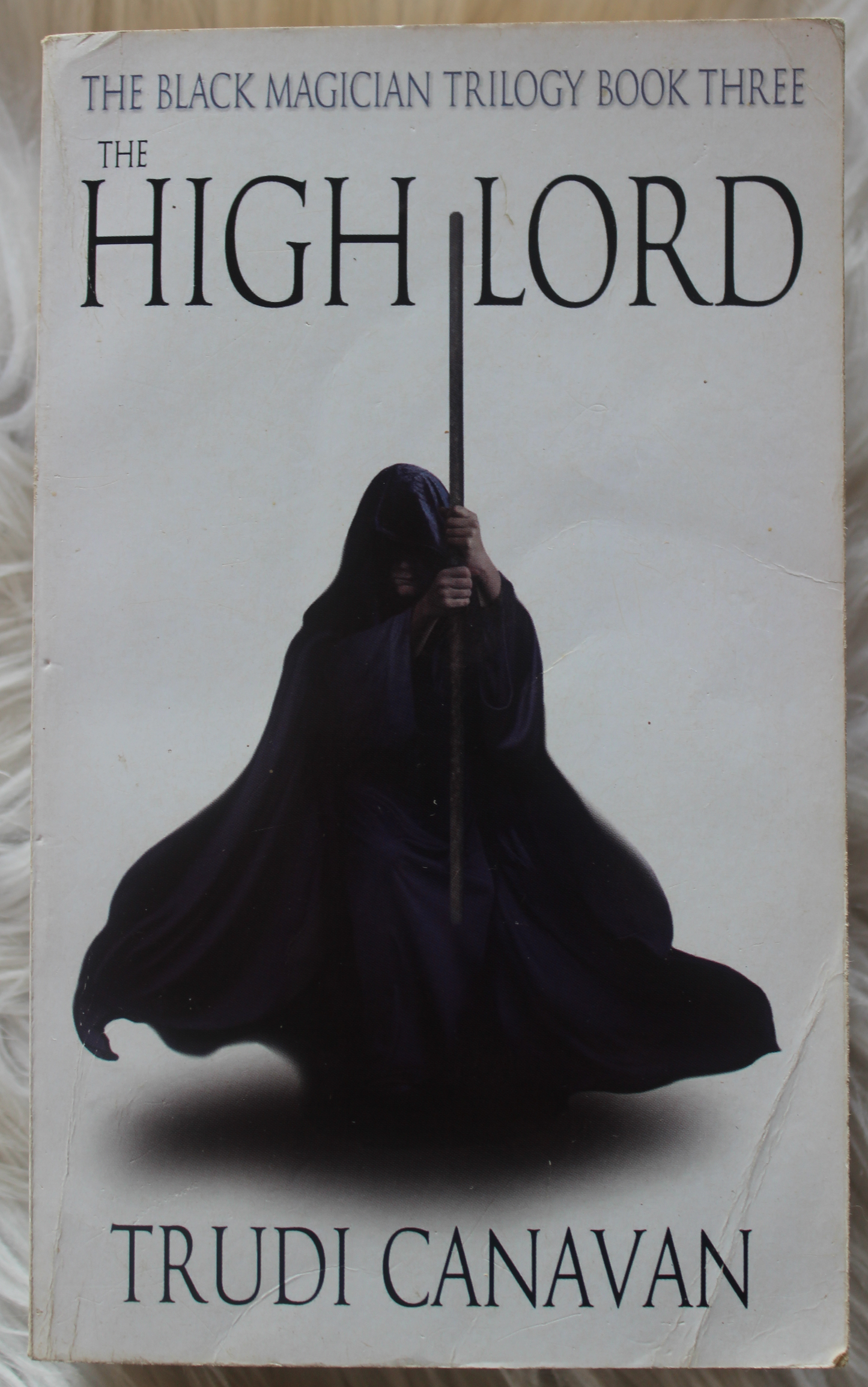 The High Lord - Trudi Canavan