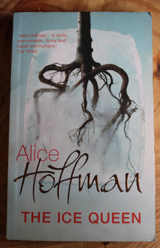 The Ice Queen - Alice Hoffman