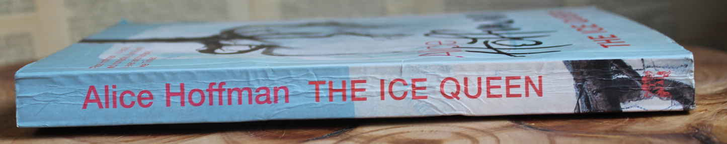 The Ice Queen - Alice Hoffman