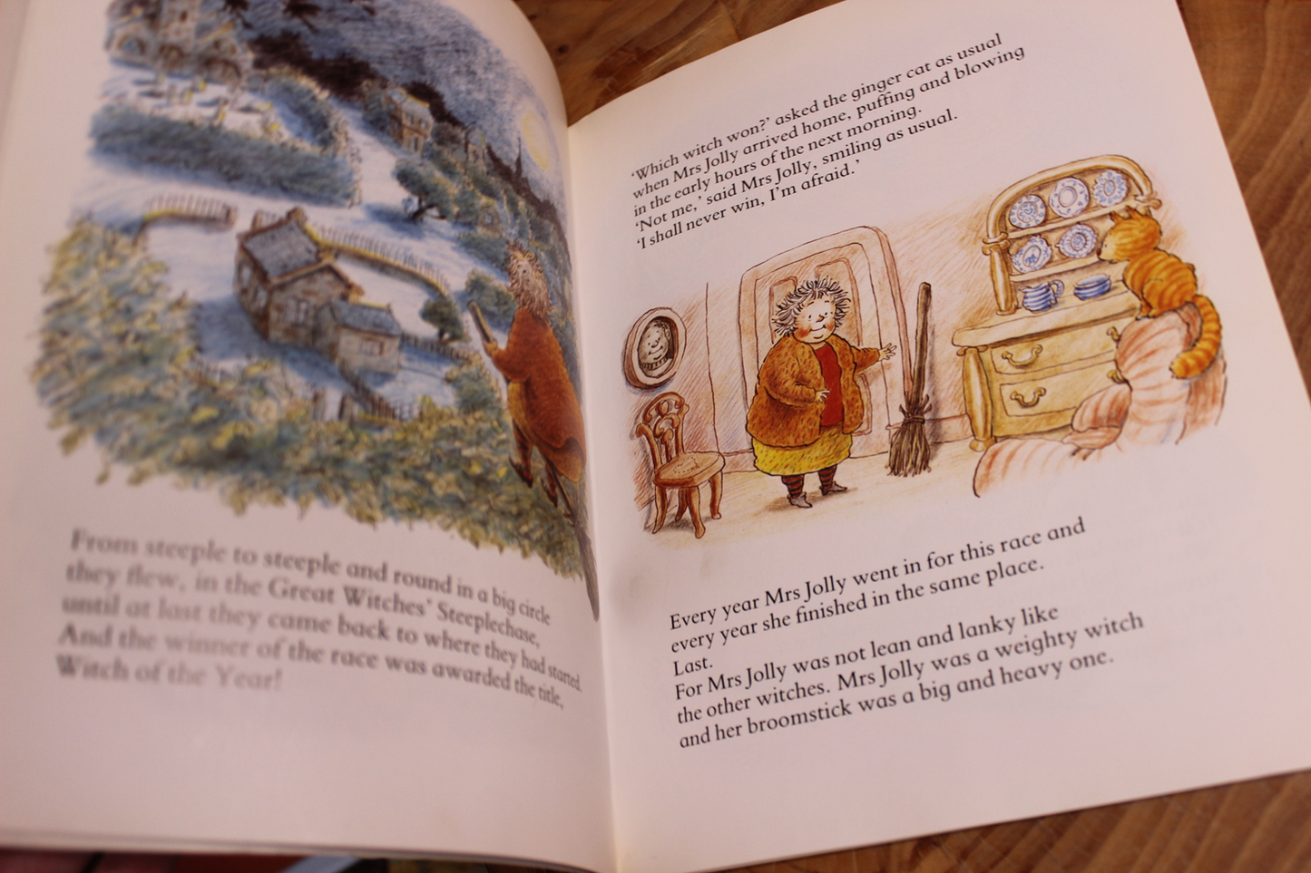 The Jolly Witch - Dick King-Smith