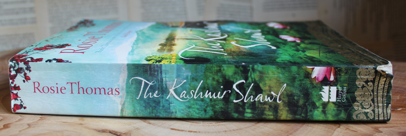 The Kashmir Shawl - Rosie Thomas