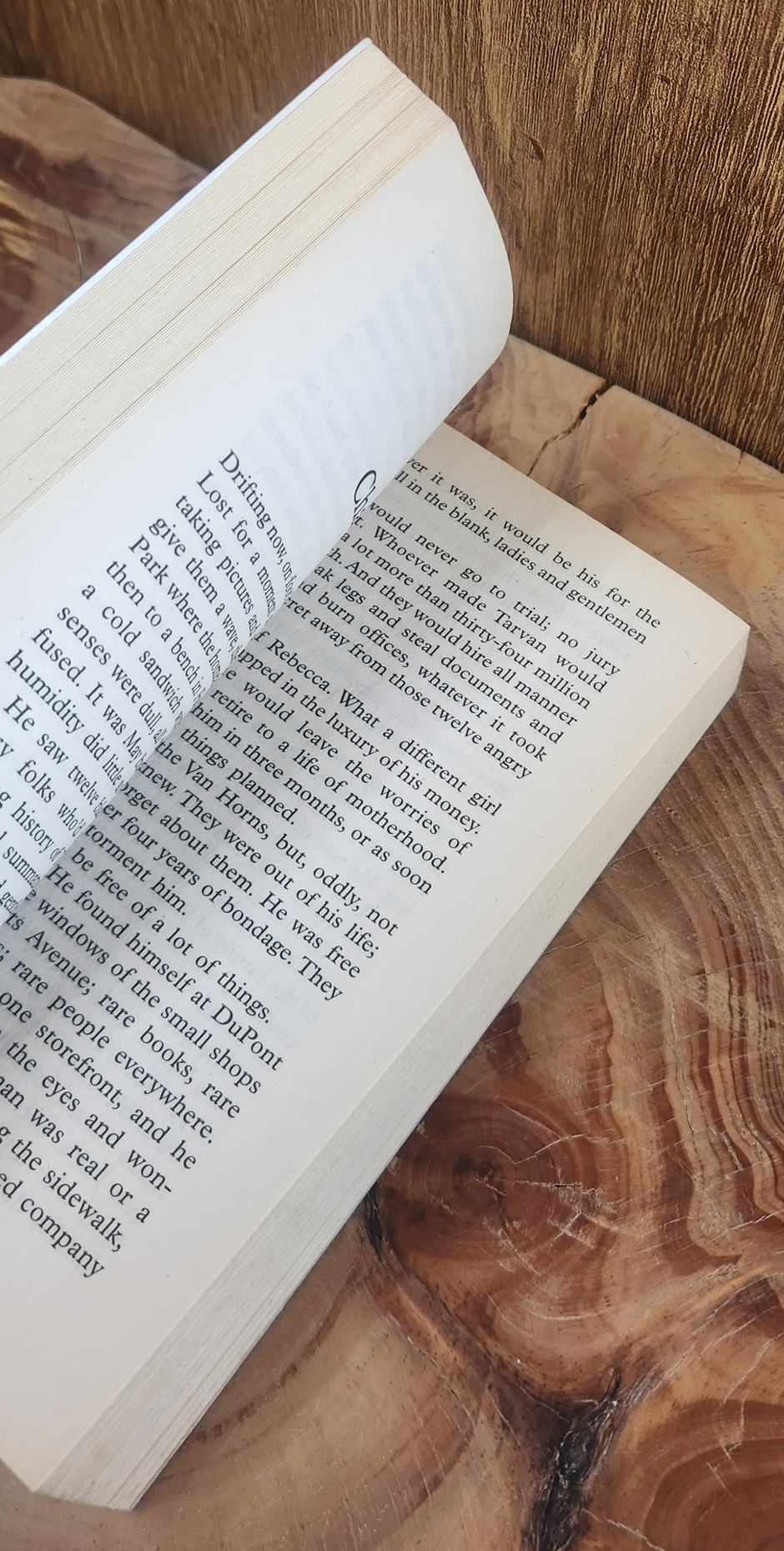 The King of Tortts - John Grisham