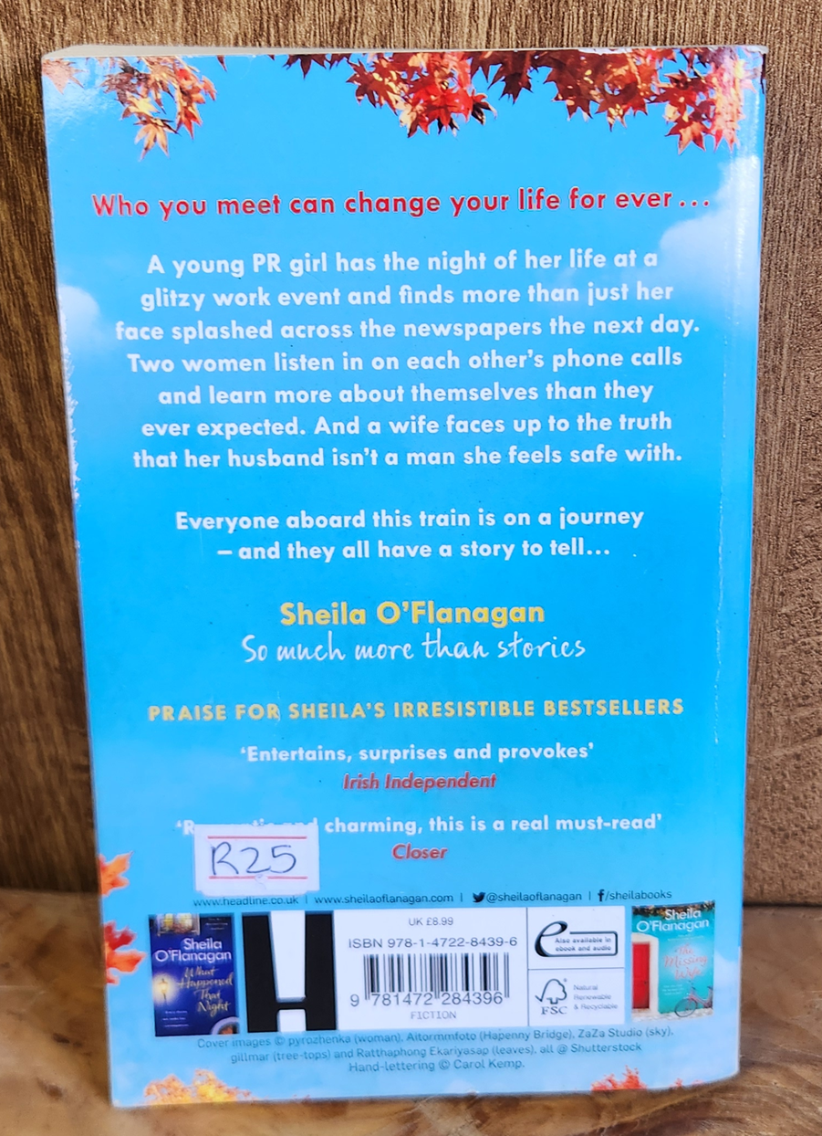 The Moment we Meet - Sheila O'Flanagan