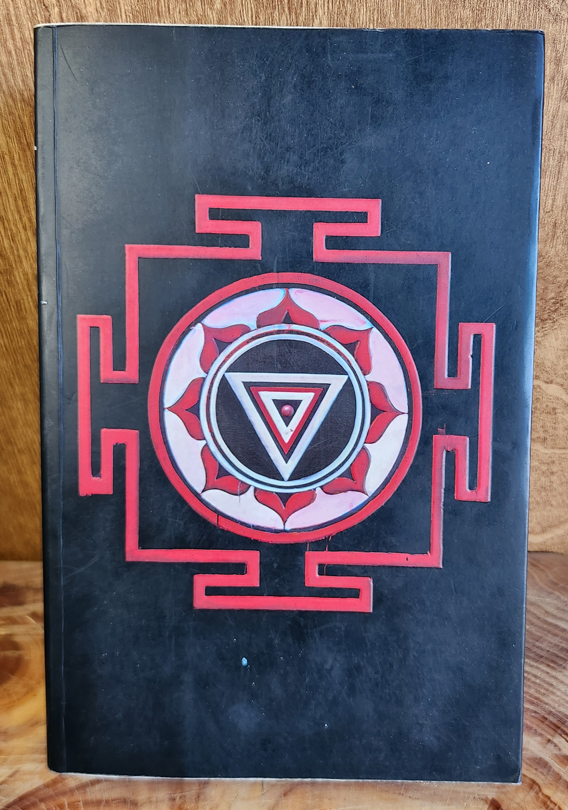 The Mountain Shadow - Gregory David Roberts