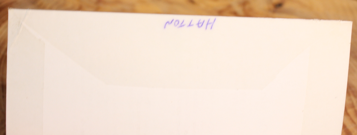 The Outsiders - S.E. Hinton