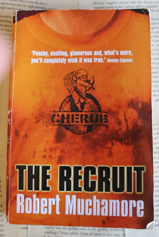 The Recruit - Robert Muchamore