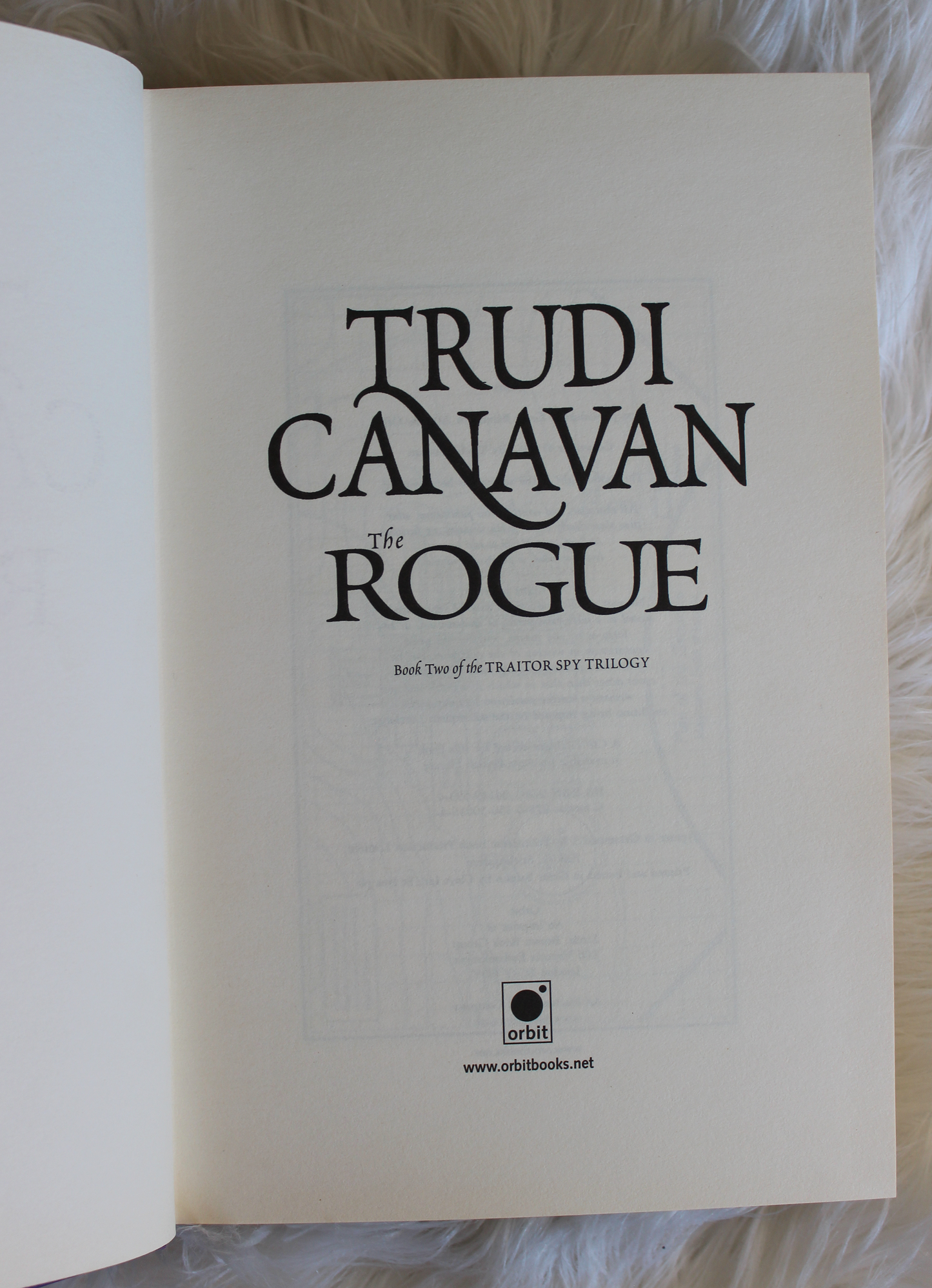 The Rogue - Trudi Canavan