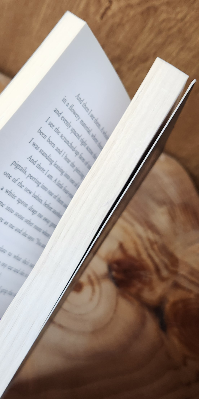 The Stolen Ones - Vanessa Curtis