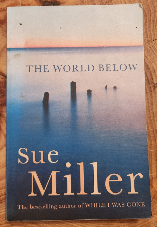 The World Below - Sue Miller