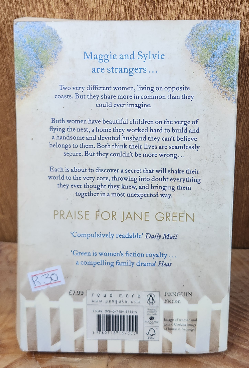 The Accidental Husband - Jane Green