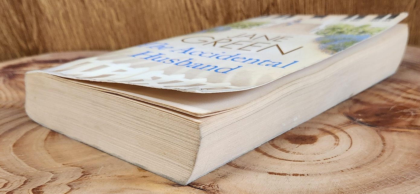 The Accidental Husband - Jane Green