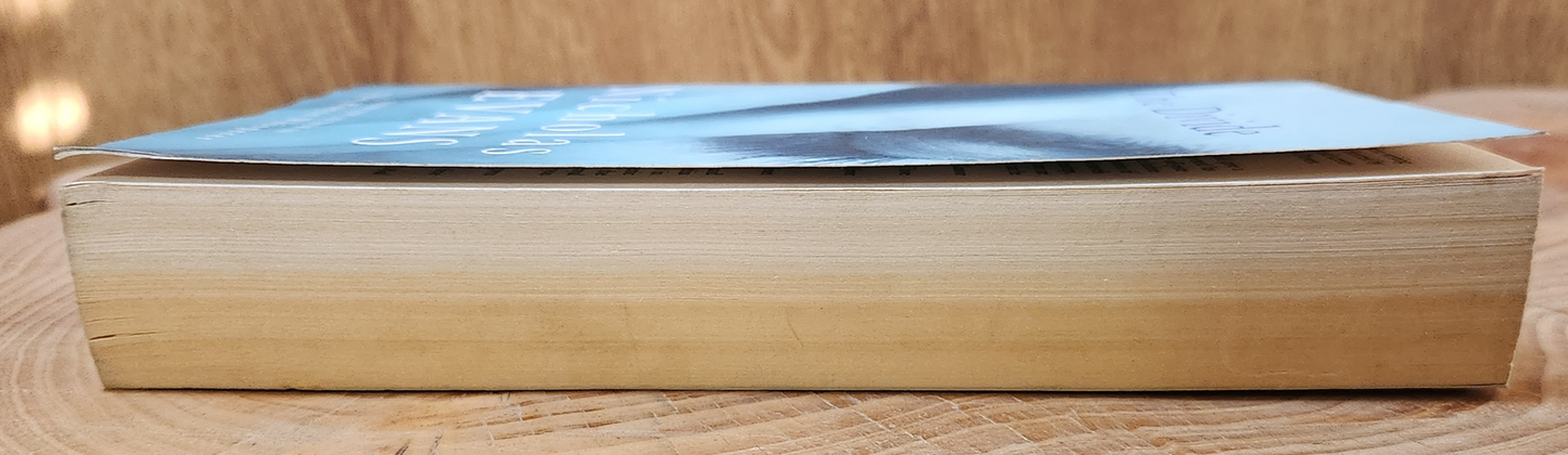 The Divide - Nicholas Evans