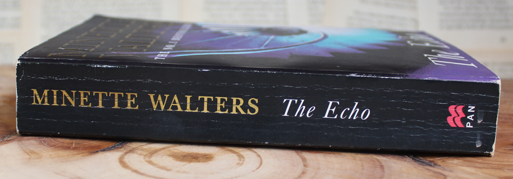 6 Minette Walters secondhand books