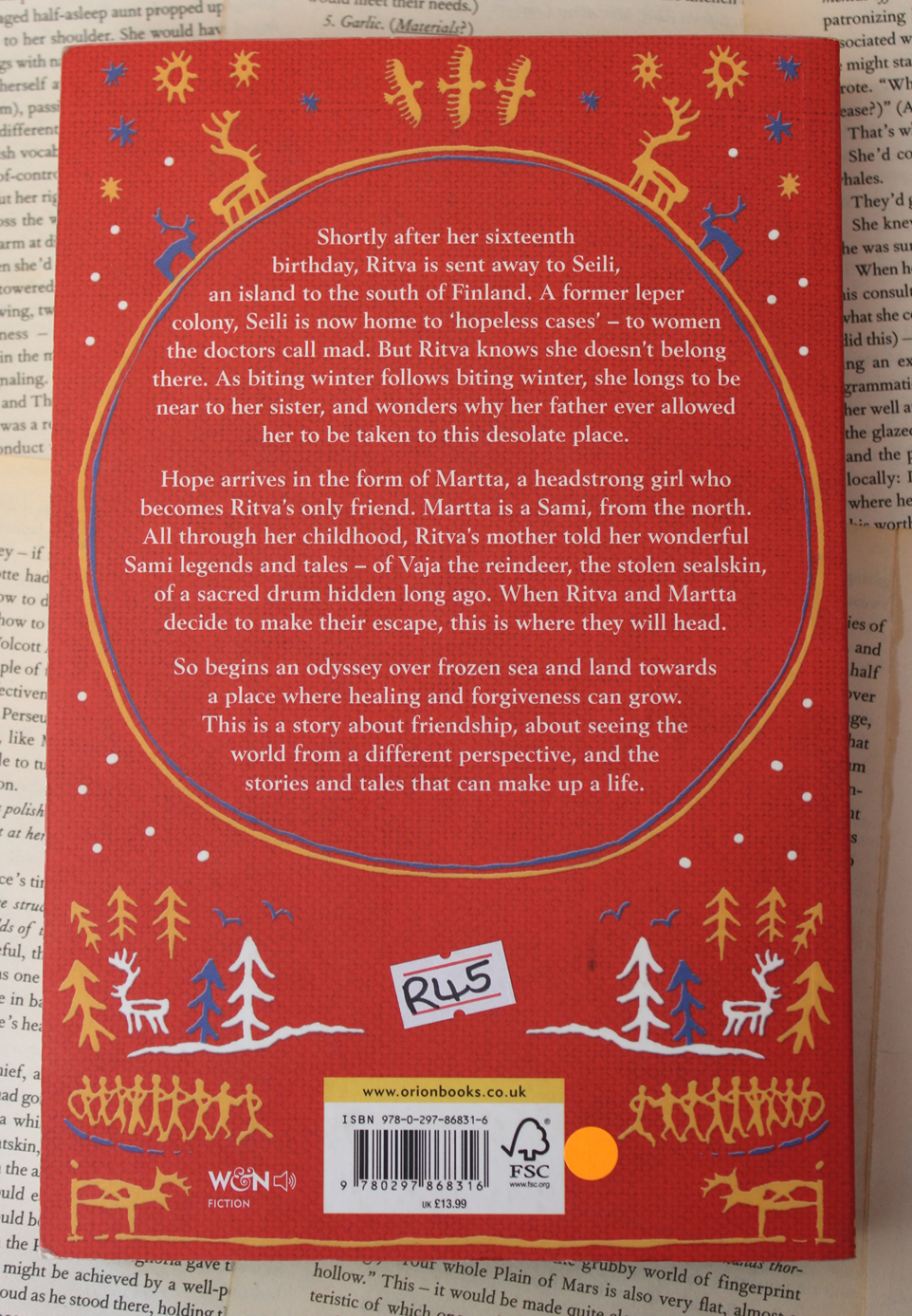 The eye of the Reindeer - Eva Weaver