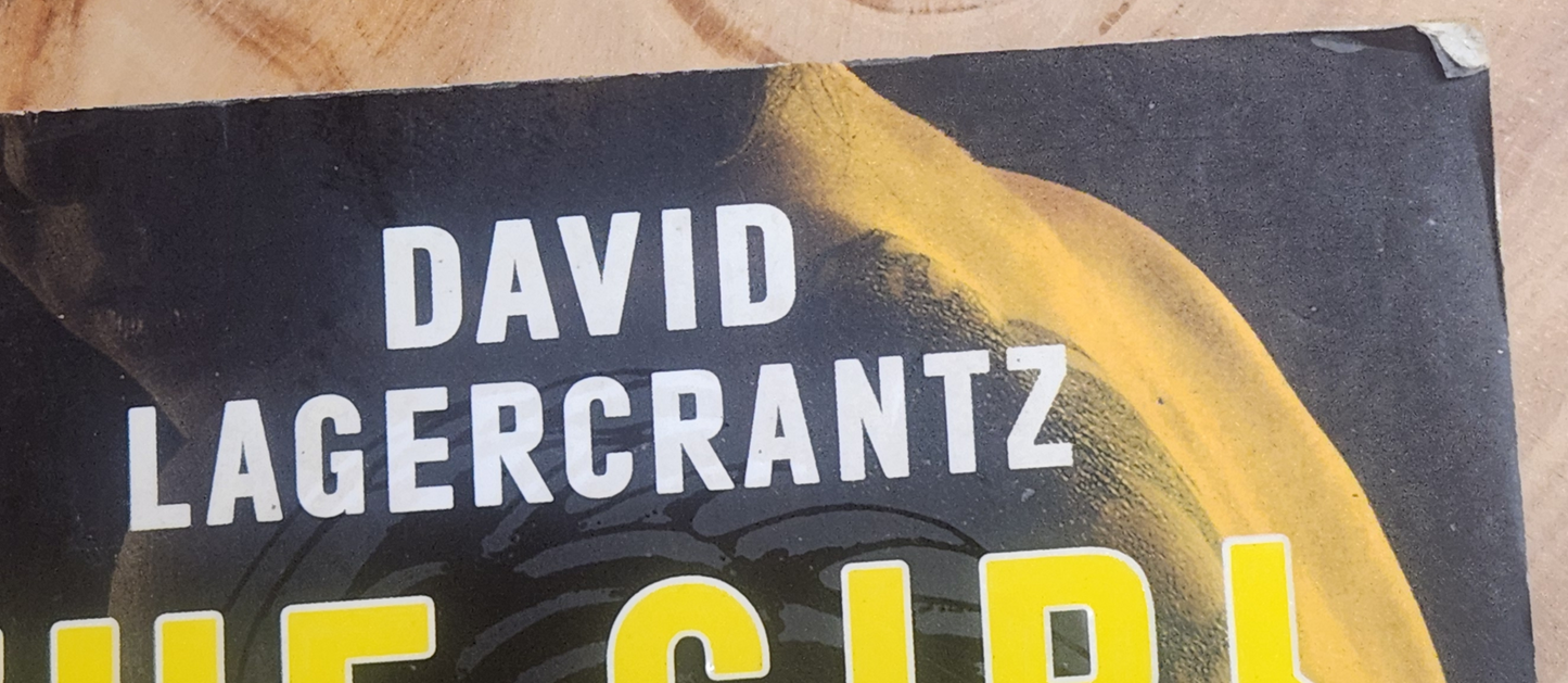 The Girl in the Spider's Web - David Lagercrantz