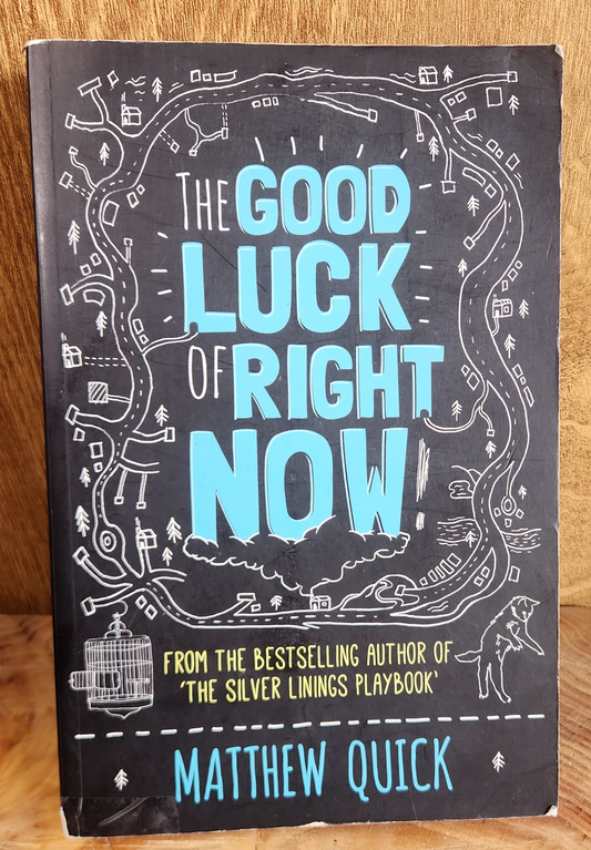 The Good Luck of Right Now - Matthew Quick