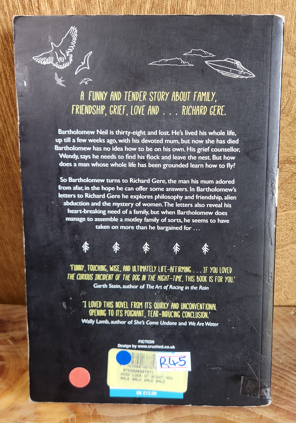 The Good Luck of Right Now - Matthew Quick