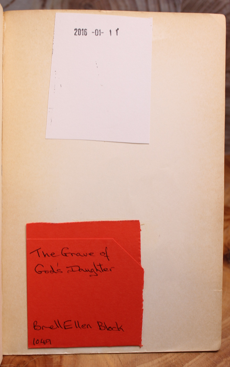 The Grave of God's Daughter - Brett Ellen Block