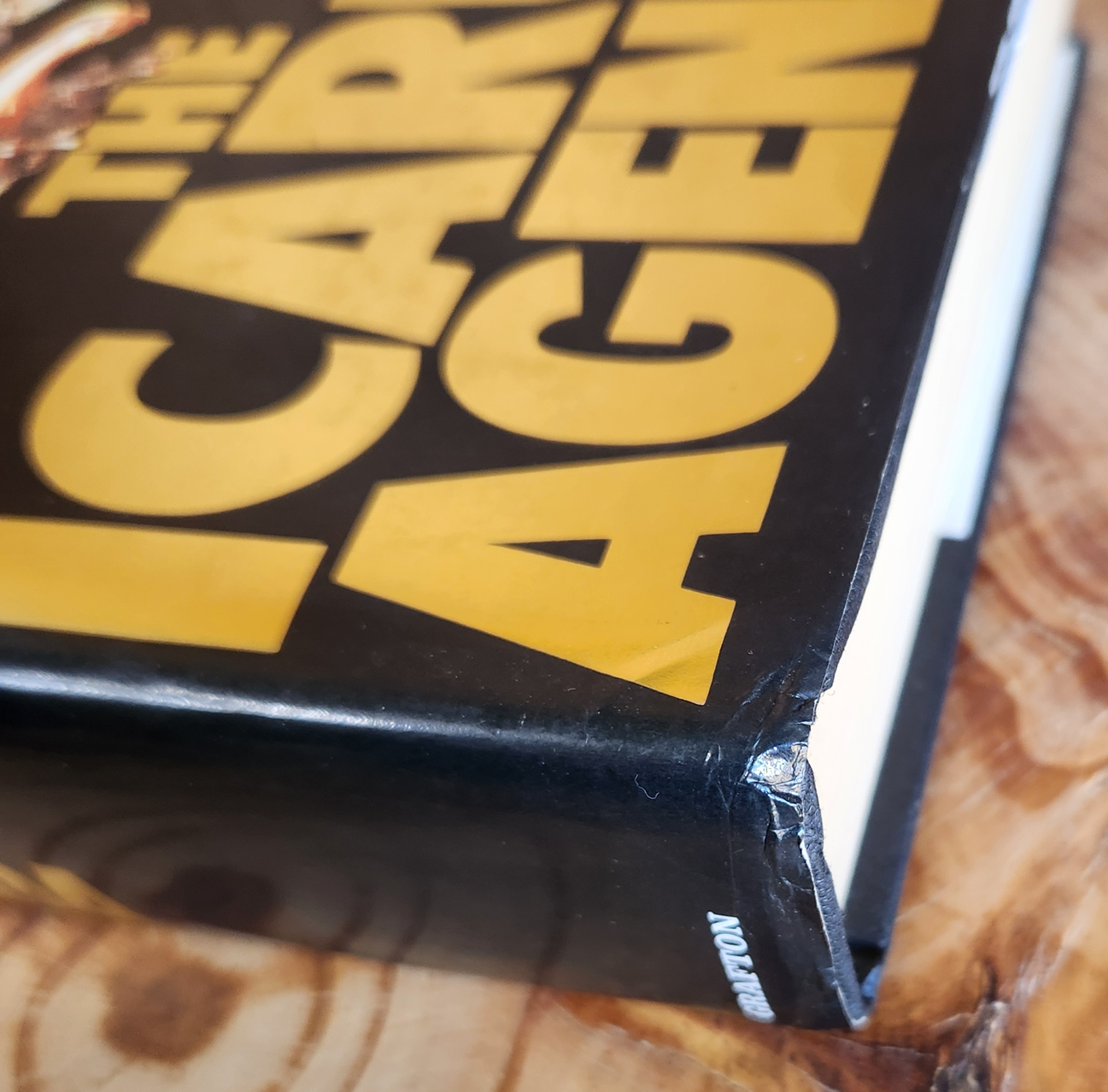 The Icarus Agenda - Robert Ludlum