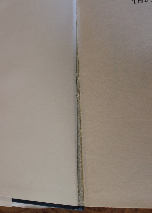 The Juror - George Dawes Green