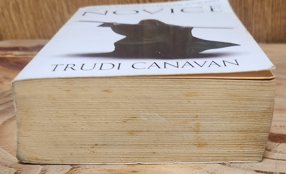 The Novice - Trudi Canavan