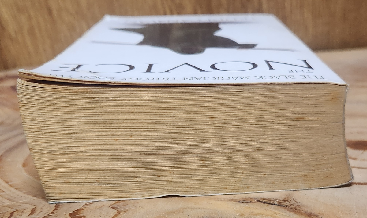 The Novice - Trudi Canavan