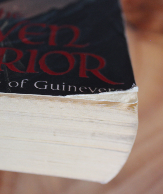 The raven warrior - Alice Borchardt