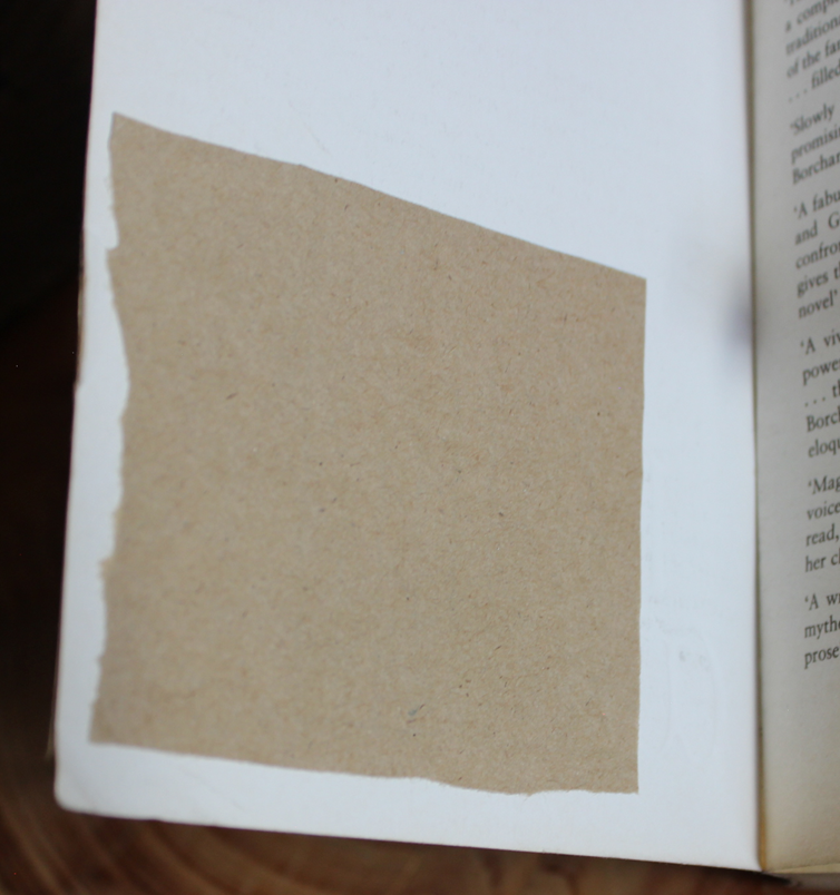 The raven warrior - Alice Borchardt