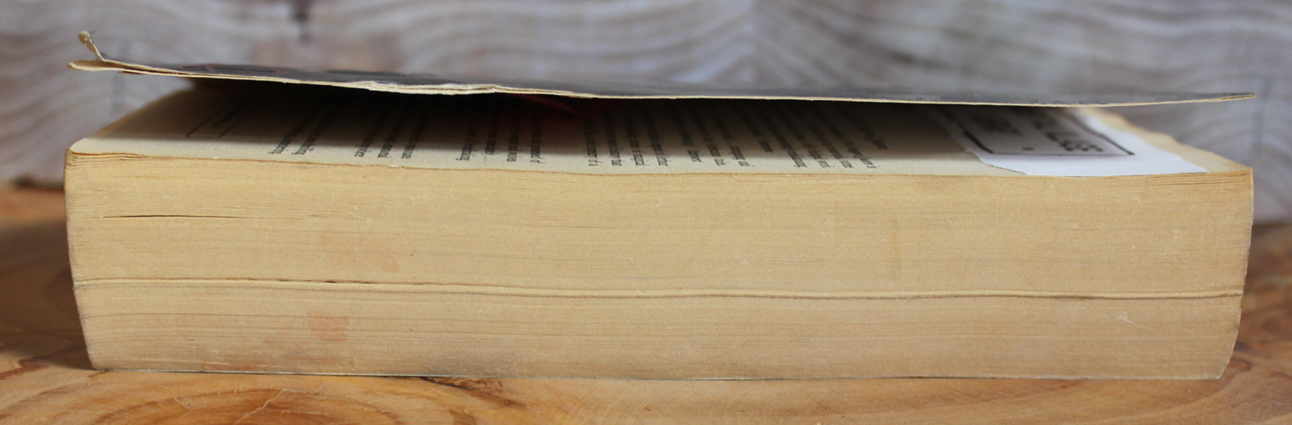 The raven warrior - Alice Borchardt