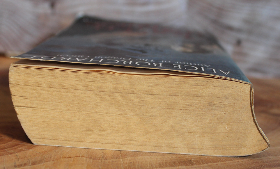 The raven warrior - Alice Borchardt