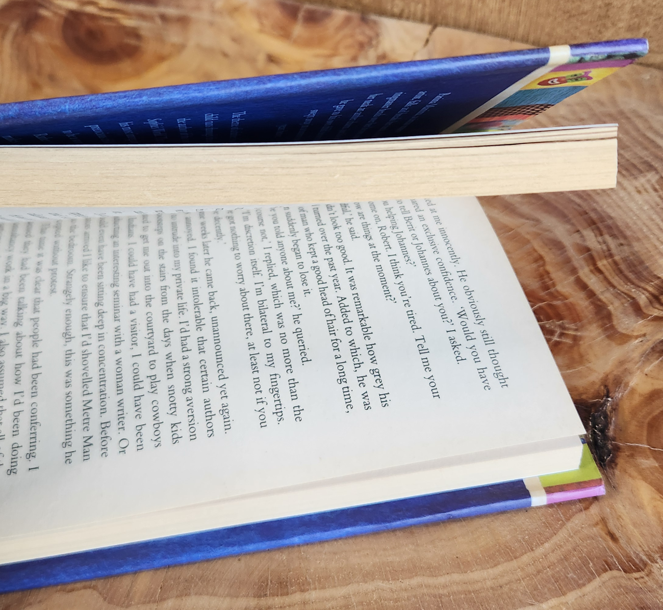 The Ringmaster's Daughter - Jostein Gaarder