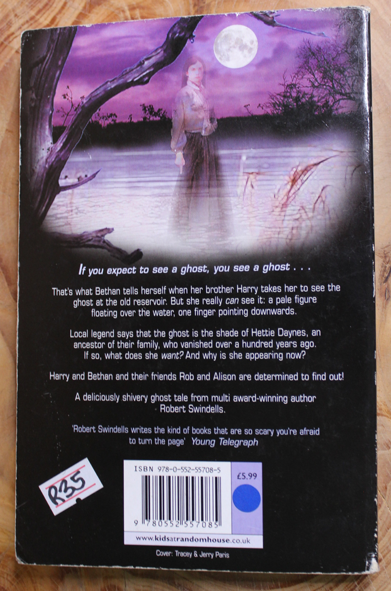 The Shade of Hettie Daynes - Robert Swindells