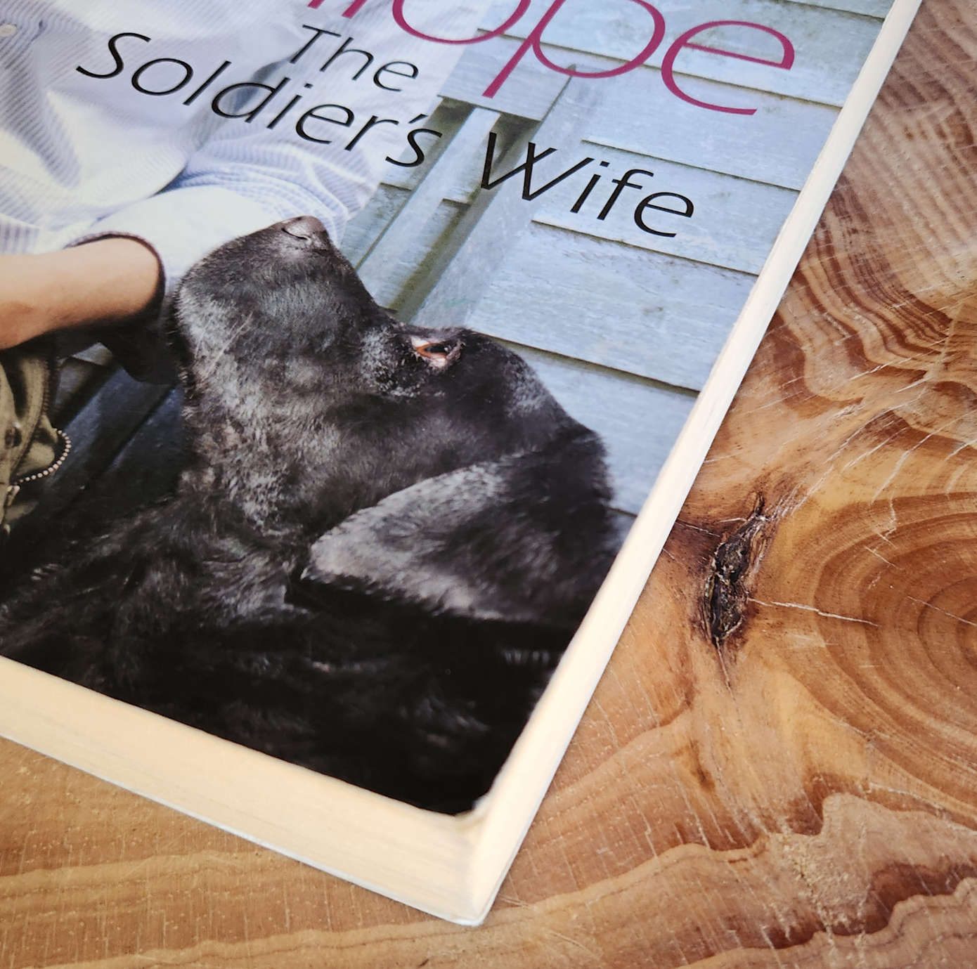 The soldier's wife - Joanna Trollope