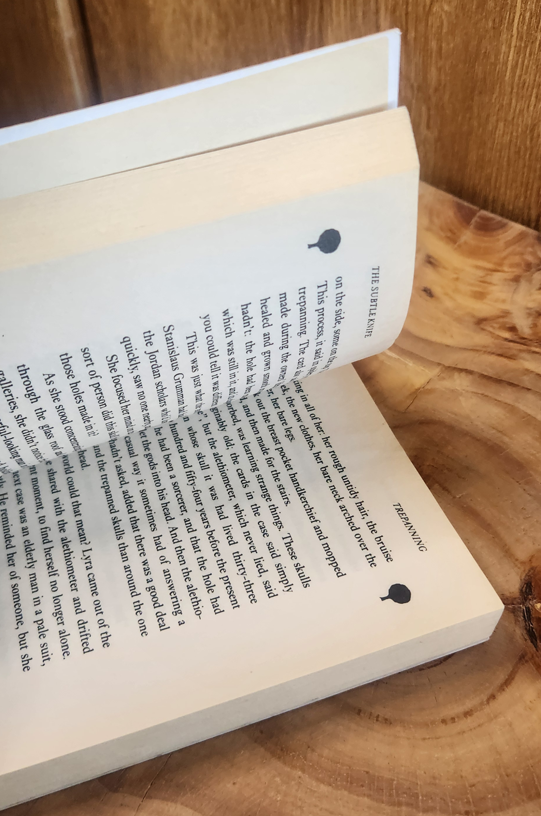 The Subtle Knife - Philip Pullman