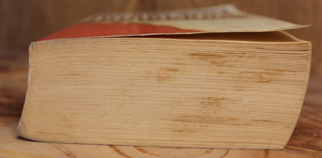 The day after tomorrow - Allan Folsom