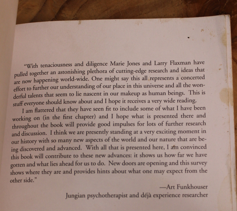 The deja vu enigma - Marie D Jones & Larry Flaxman