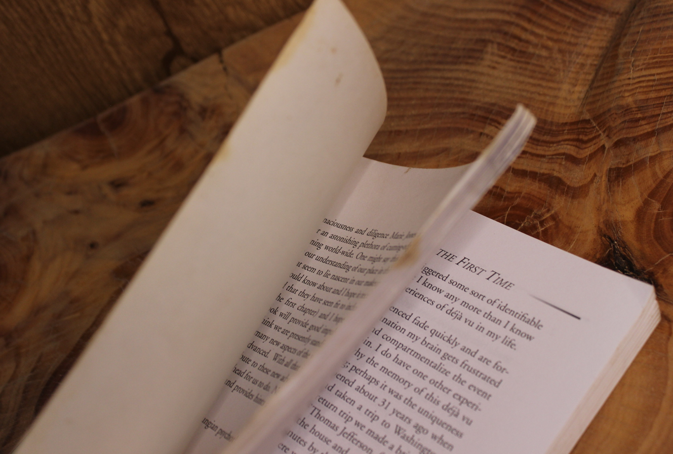 The deja vu enigma - Marie D Jones & Larry Flaxman