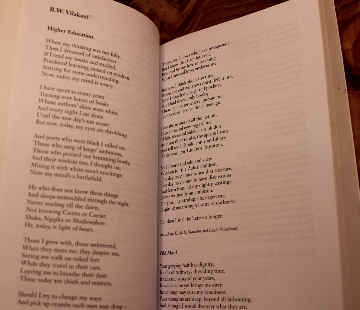 The new century of South Africa poetry - Michael Chapman