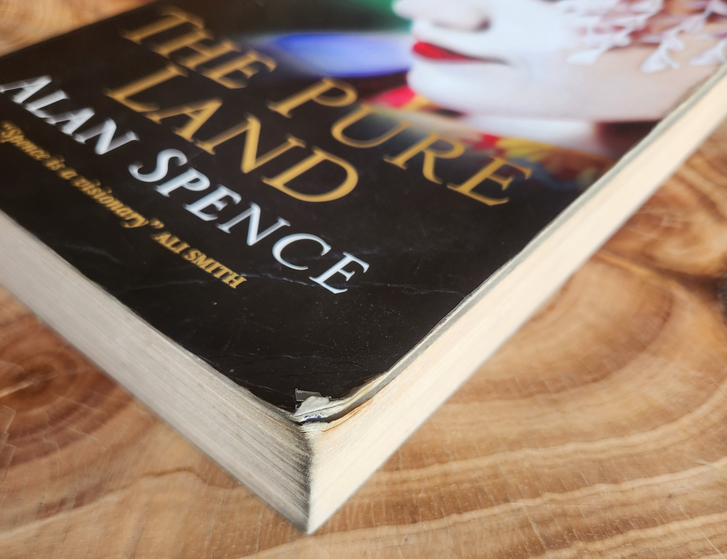 The pure land - Alan Spence