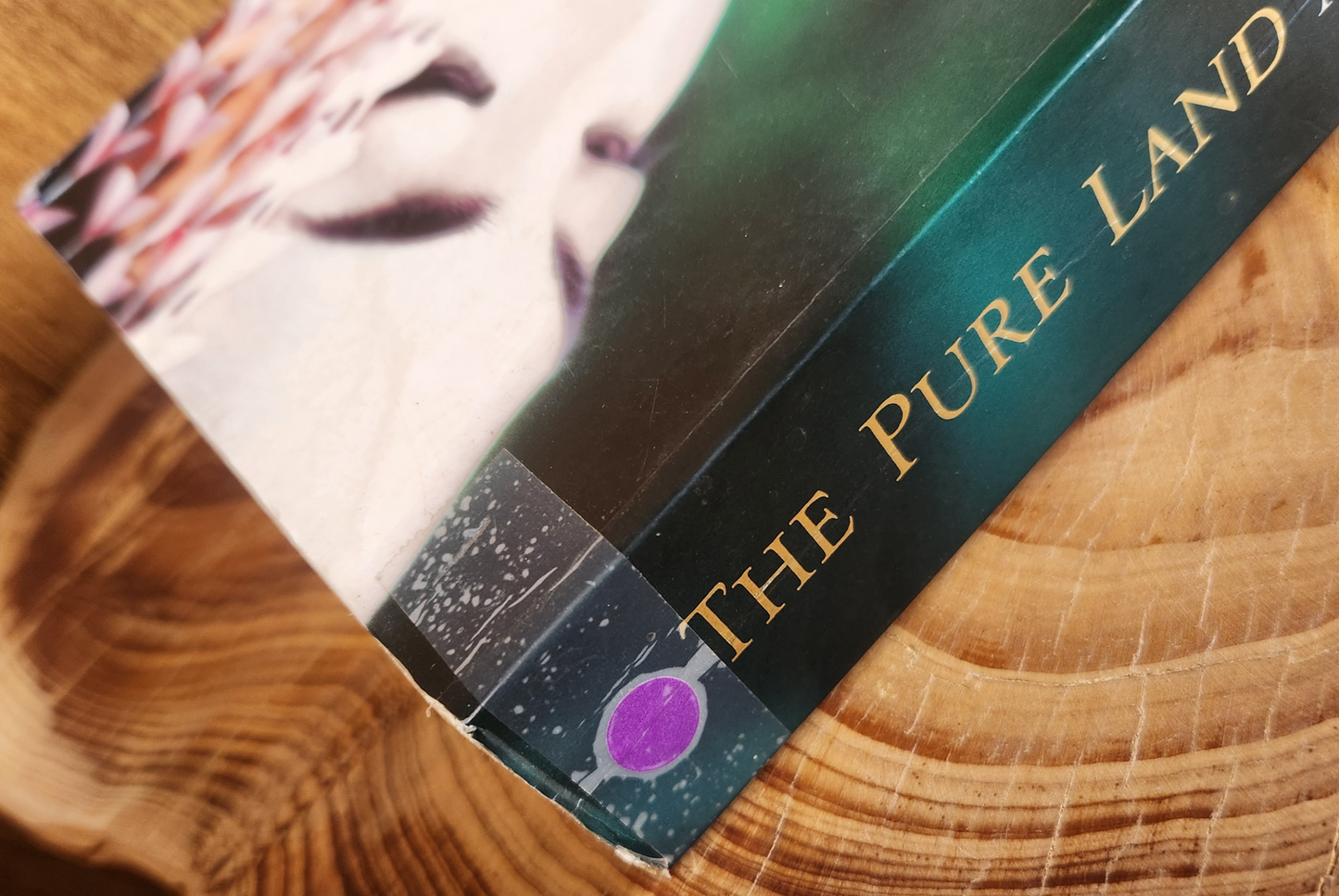 The pure land - Alan Spence